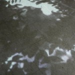 http://znokgcpanel.lightizm.com/files/gimgs/th-76_71_Nostalgia1_v2.jpg