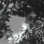 http://znokgcpanel.lightizm.com/files/gimgs/th-76_71_Nostalgia2_v2.jpg